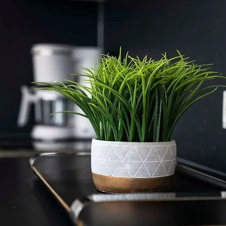 Båthotell Hausboot Albatros - Lp4 *